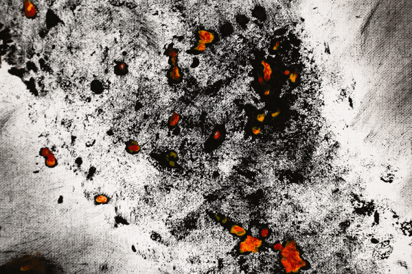 No.19 - Image 2