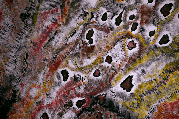 No.5 - Image 2
