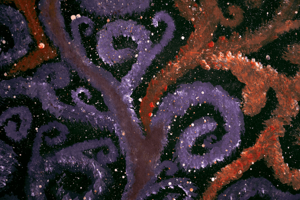 No.11 - Image 2